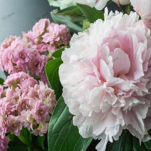 WP02121 Фотообои Verol Фотообои decoline 1х1 м