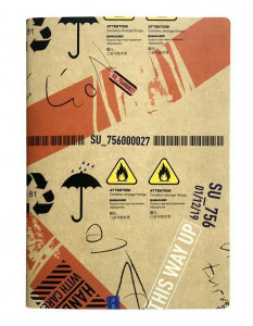 519672 Тетрадь общая "", 48 листов, 21 х 29,5 см Be Smart Box