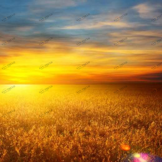 WP01104 Фотообои Verol Фотообои decoline 1х1 м