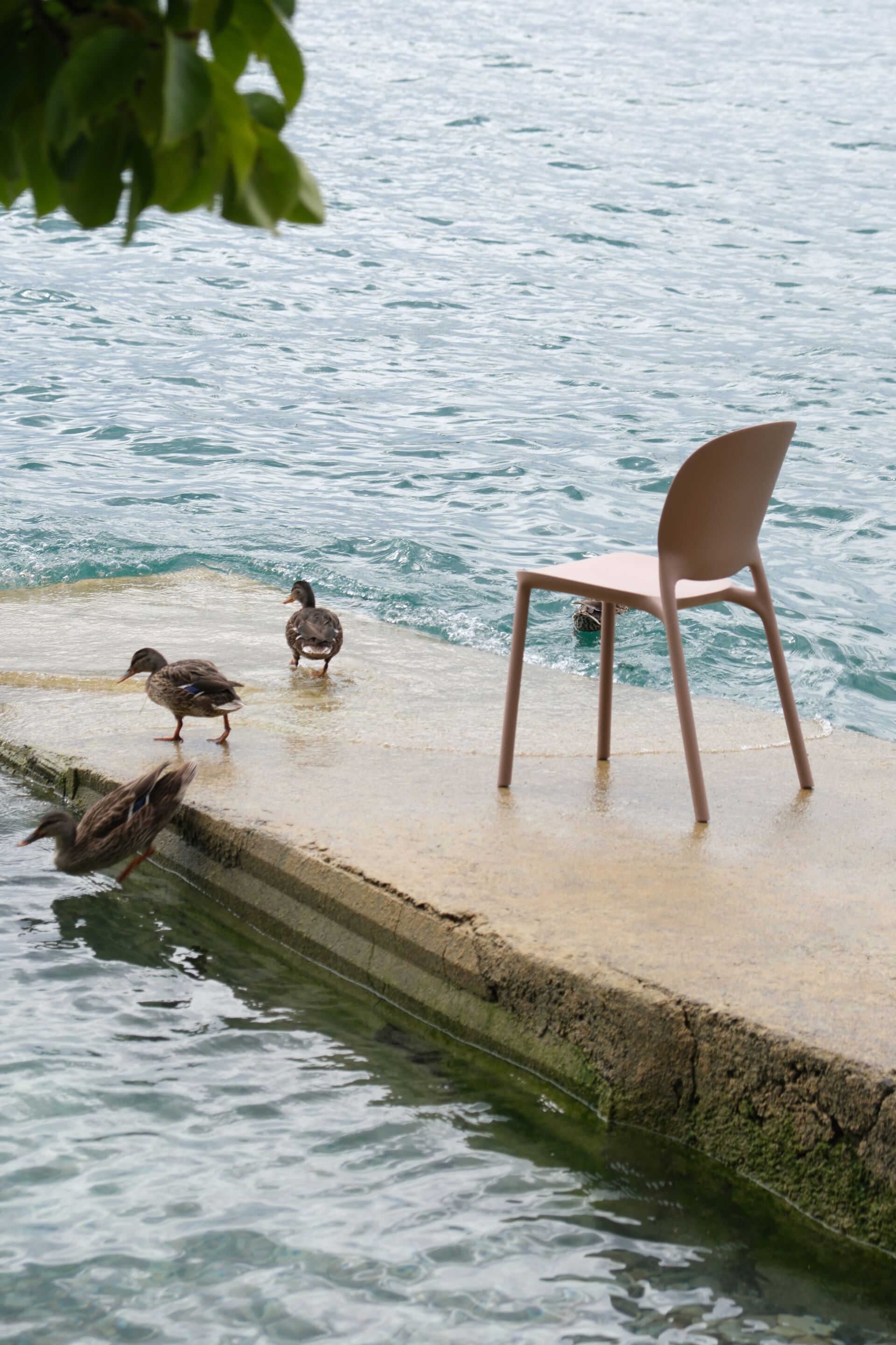 Штабелируемый стул из полипропилена S-CAB Hug ARCH-00042001 - Вид №19