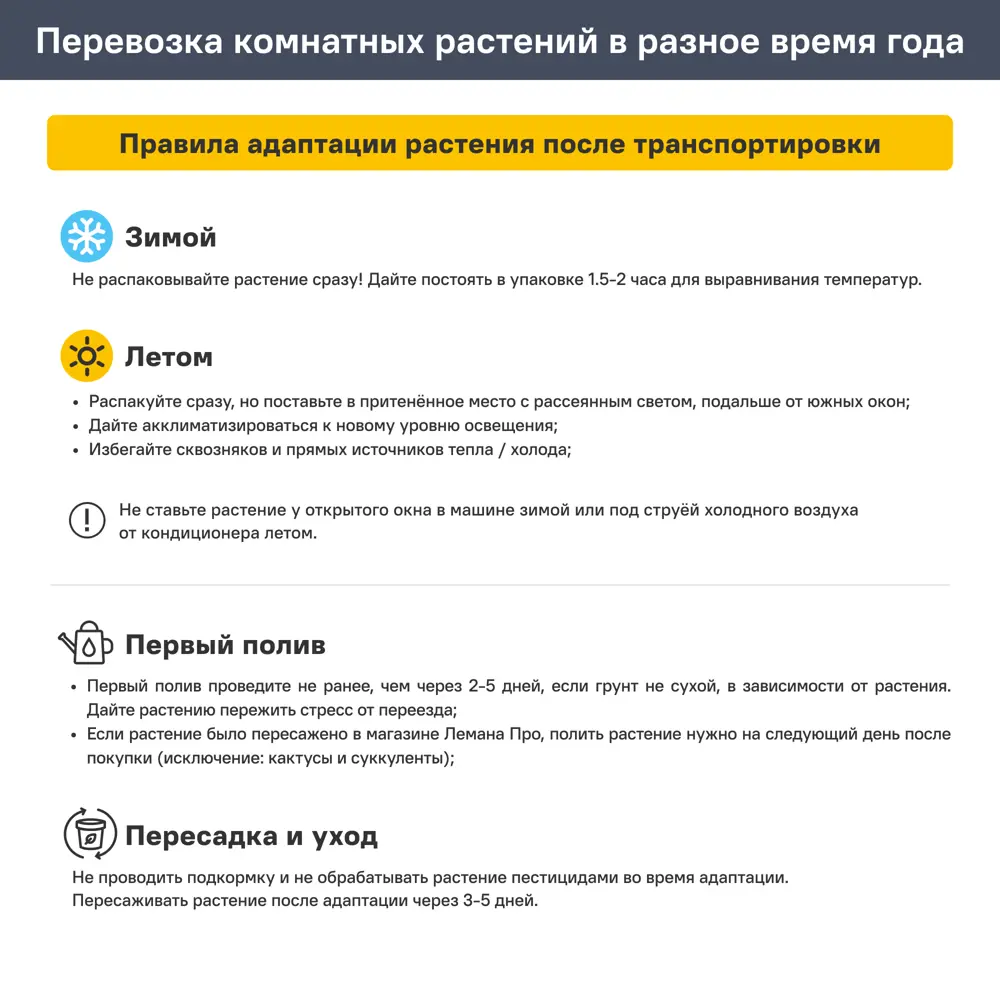 Эхеверия Мустанг ø7 h3 см 89447878 STLM-2050693 Santreyd  - Вид №4