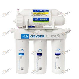 Гейзер Аллегро с металлическим баком 20036