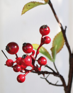 1582 444 a3 Стебель искусственной ягоды, 70 см, красный H-andreas