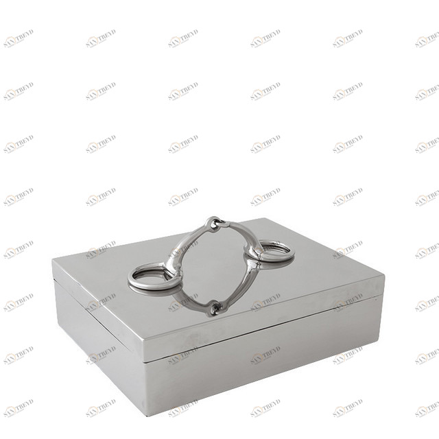 Шкатулка Aurora L от Eichholtz EICHHOLTZ EICHHOLTZ 060226 Хром 