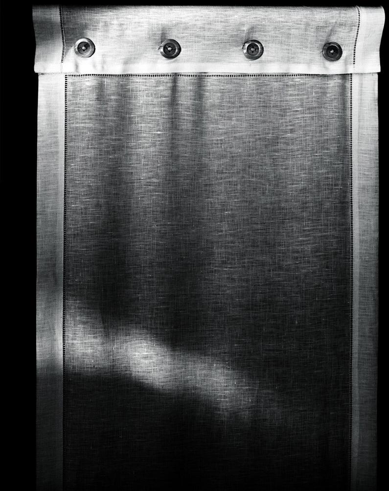 Living Divani Экран ясеня Ceiba sun-id-1428883 - Вид №4