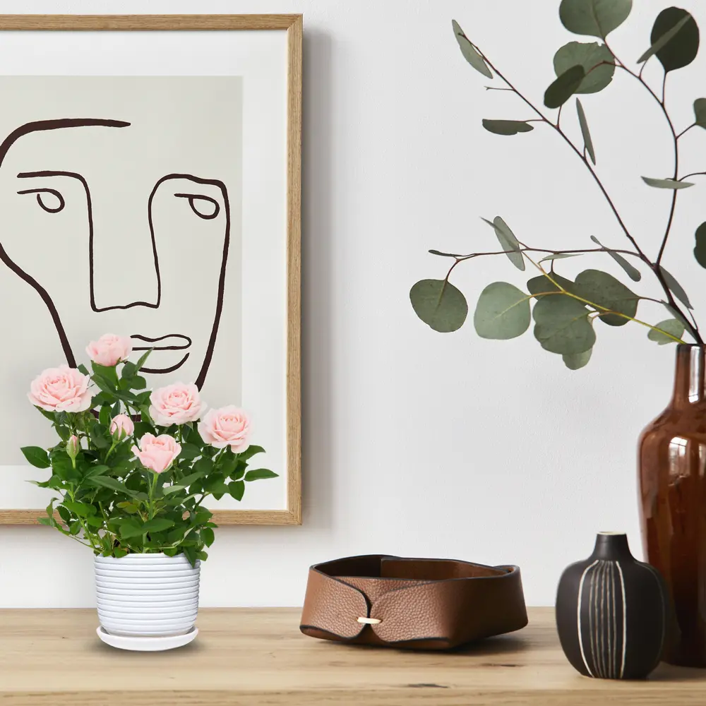 Santreyd Спин — керамический горшок для комнатных растений 82836494 STLM-0036697 - Вид №2