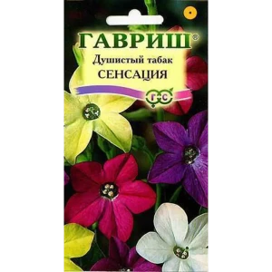 Семена Гавриш Табак душистый Сенсация Гавриш 83606958 STLM-2059765