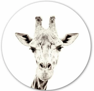 Groovy Magnets Клейкое виниловое украшение Animal