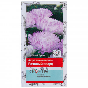 18359097 Астра пионовидная цвет розовый кварц