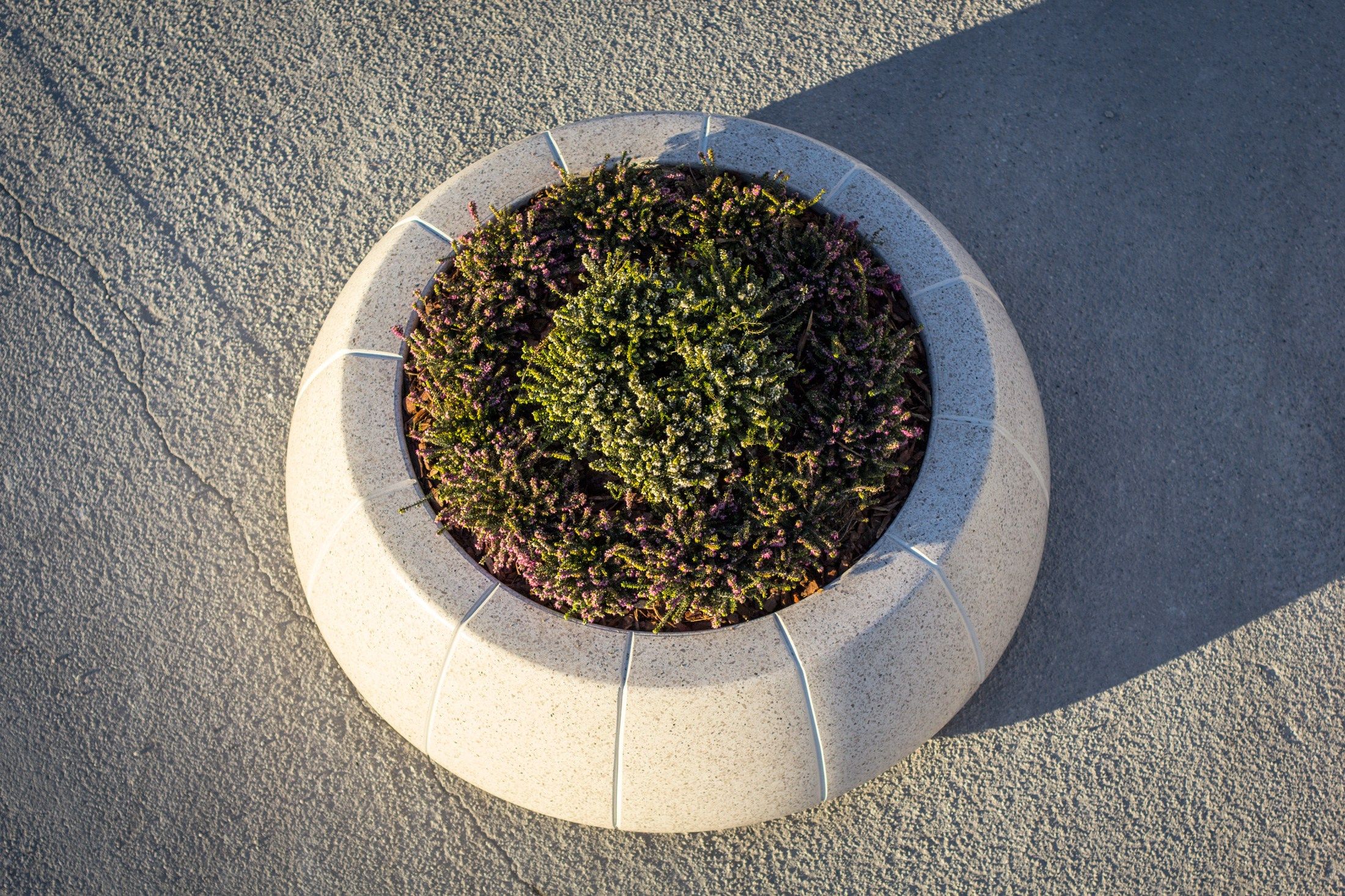 Вазон Bellitalia кольцо ARCH-00092083