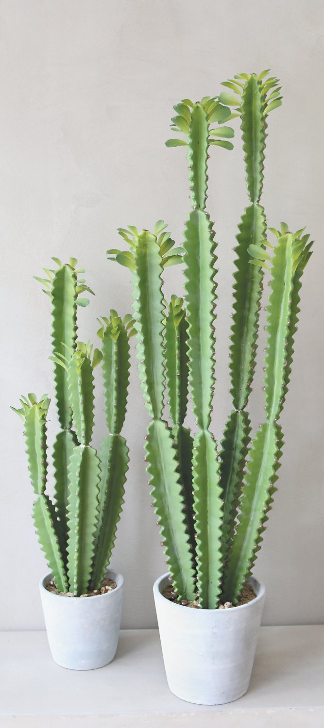 6062 883 a3 Молочай искусственный тригона, горшечный, 71 см, зеленый H-andreas  - Вид №3