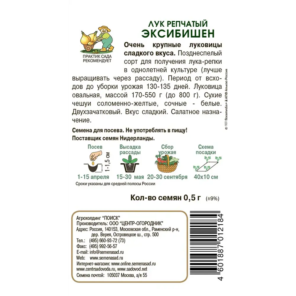 Лук репчатый Эксибишен от ПОИСК — сладкий гигант для салатов 83577758 STLM-0962682 - Вид №1