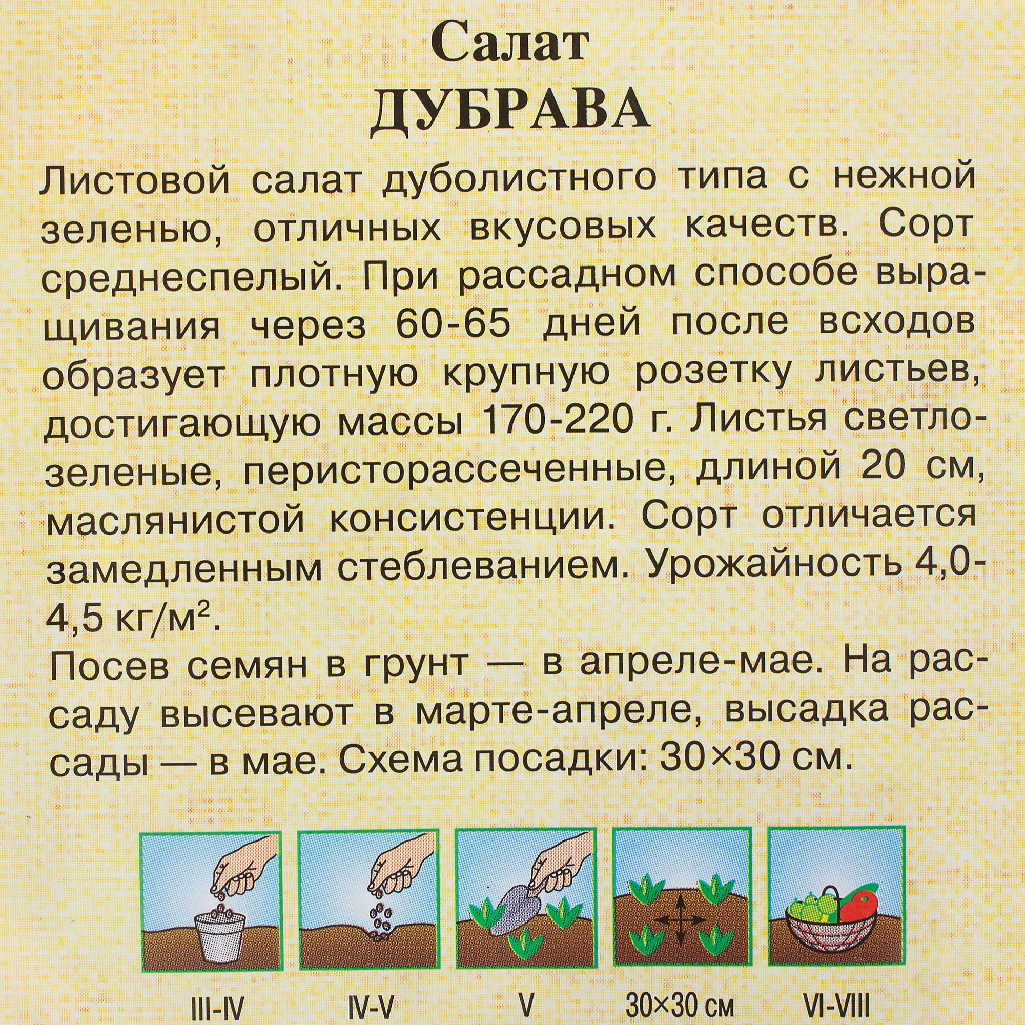 81933329 Семена Салат листовой/маслянистый «Дубрава» 1 г Santreyd  - Вид №2