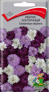 86217937 Семена цветов Поиск иберис зонтичный Ежевичные меренги STLM-0066914 Santreyd