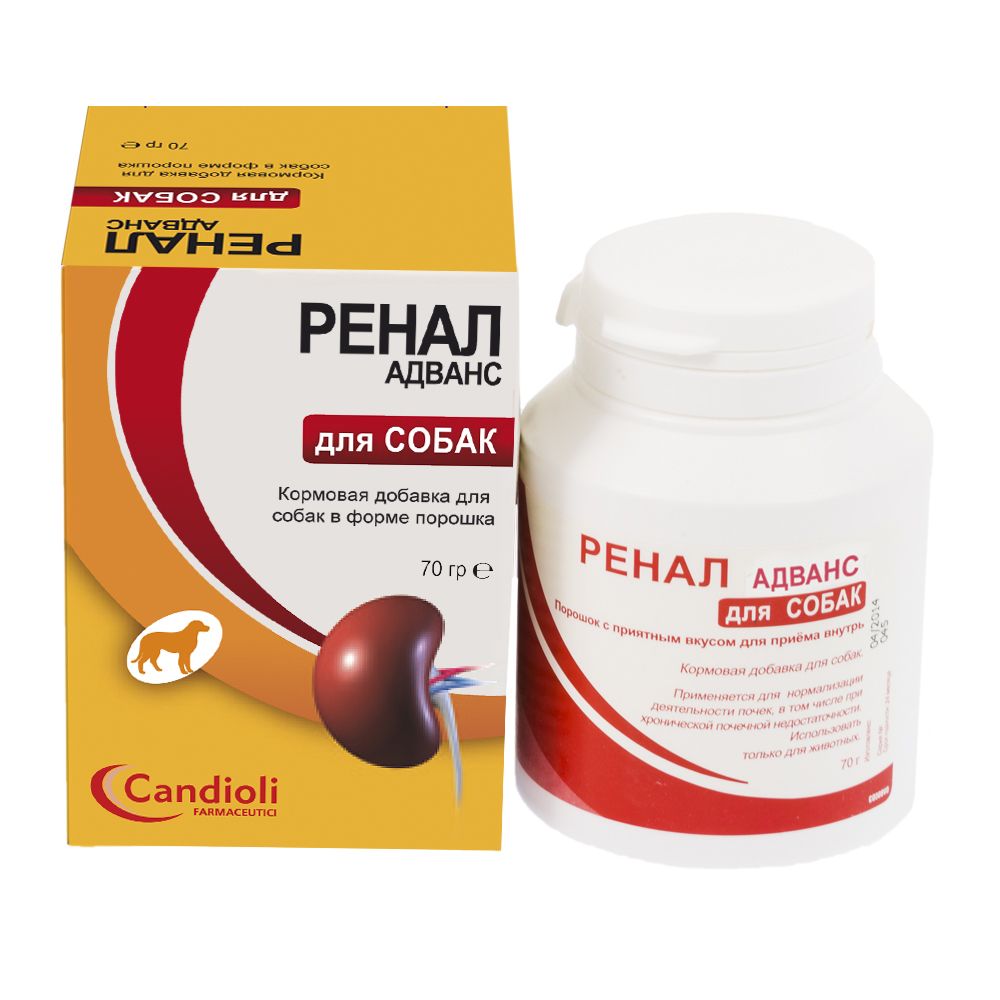 ПР0044803 Кормовая добавка Ренал Адванс для собак в форме порошка 70г (банка) Candioli 