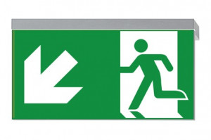 DST-1526 Ikus 320-p Daisalux Светильники сигнальные Серебристо-Серый