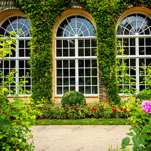 B1-061 Фотообои DIVINO Collection B 2.38х3 м B1061