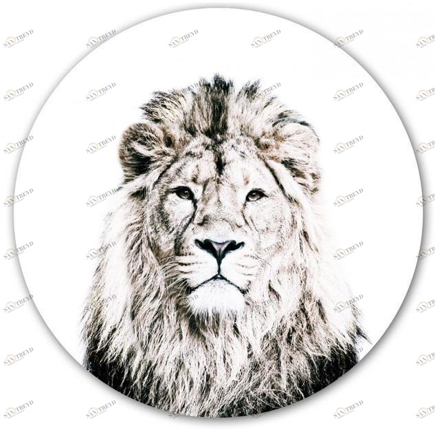 Groovy Magnets Клейкое виниловое украшение Animal sun-id-1420893