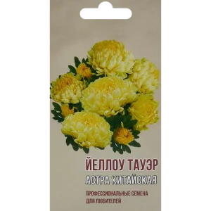 Астра китайская Йеллоу тауэр