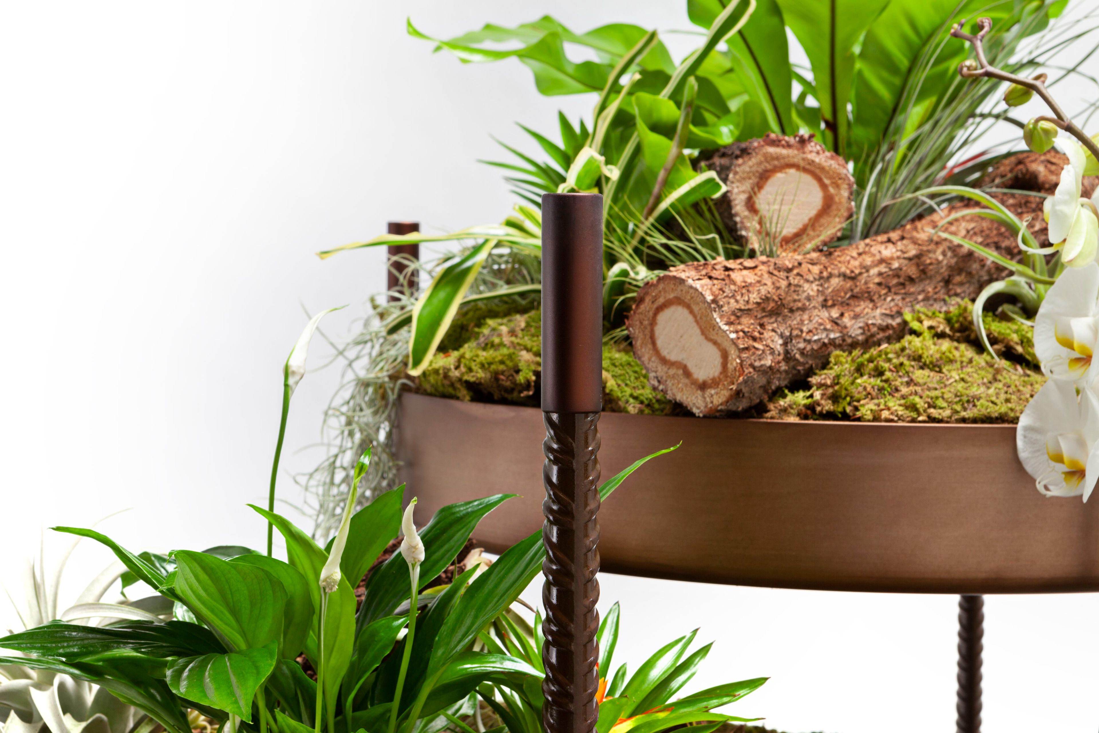 Нержавеющая сталь высокий горшок держатель Exteta 10th ARCH-00092532 - Вид №7