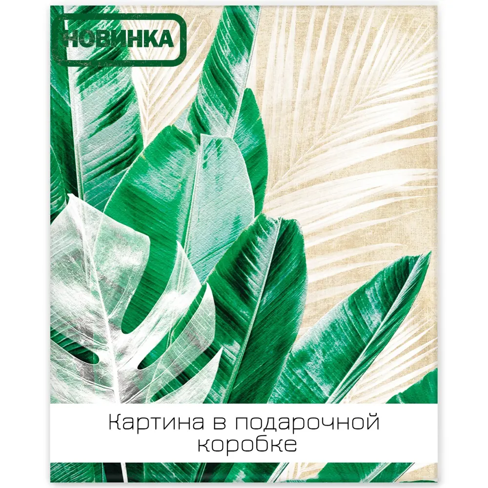 Картина на холсте Экзотические листья 1 40x50 см FBRUSH STLM-2191042
