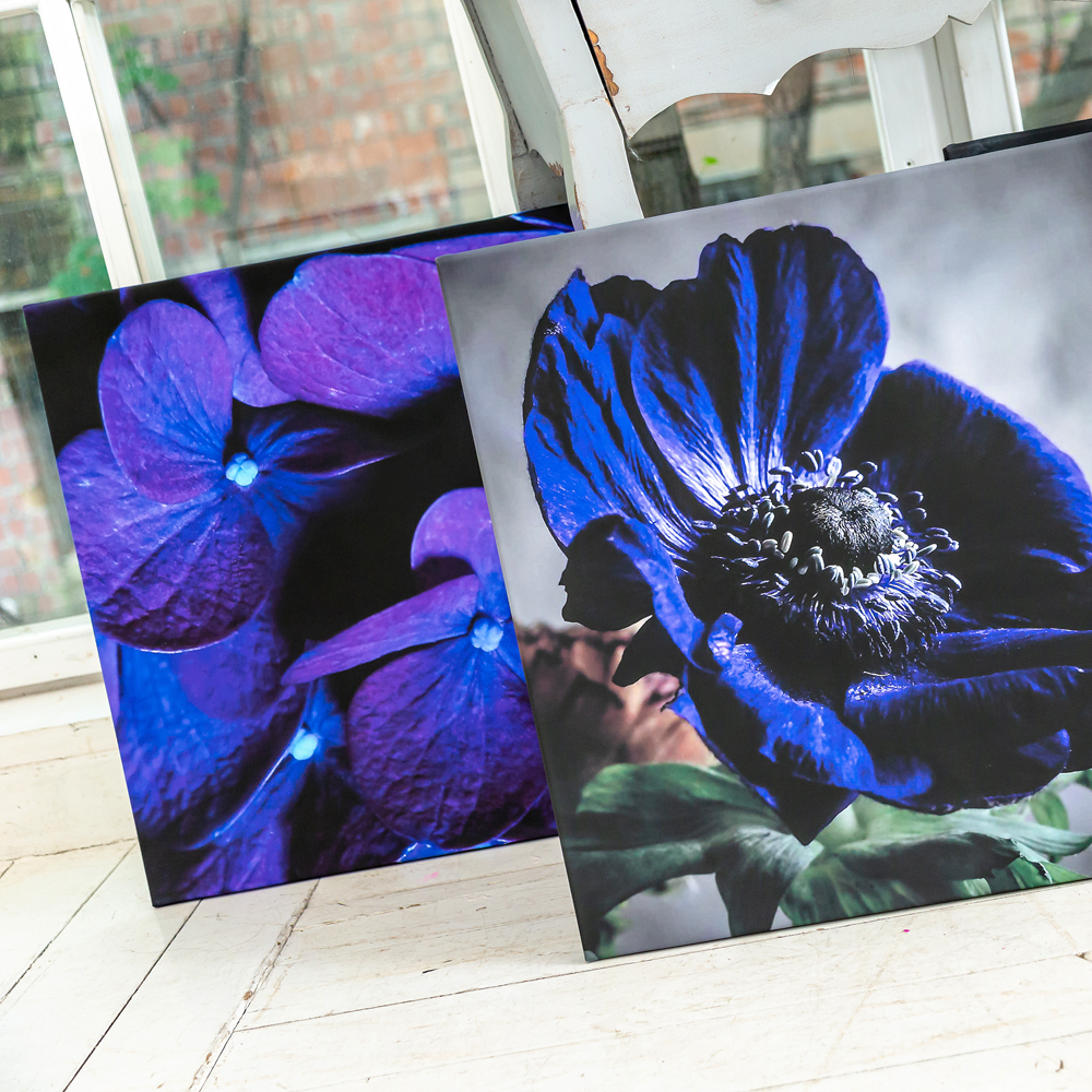 896520145_2728 Картина «Passion Flower» (холст, галерейная натяжка) Object Desire  - Вид №1