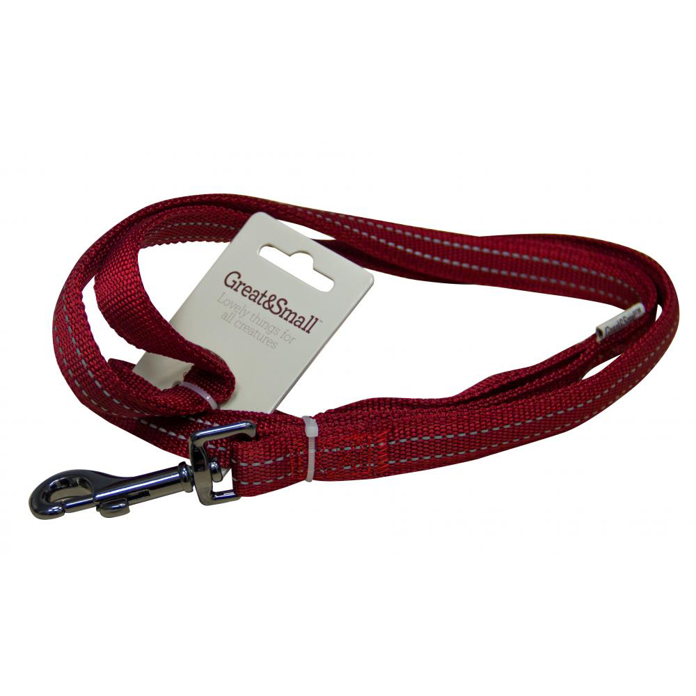 ПР0043608 Поводок для собак со светоотражающей острочкой 25х750мм нейлон красный Great&Small 
