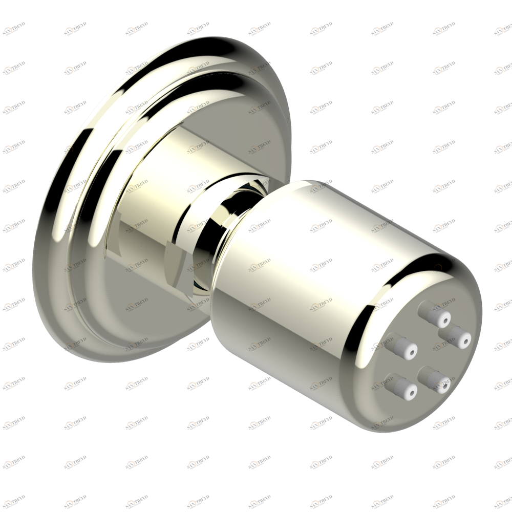 U7E-290/B Форсунка гидромассажная встраиваемая в стену 1/2" с защитой от жёсткой воды Thg-paris Trocadéro тигровый глаз Покрытие PVD никель U7E 290/B CAT.F