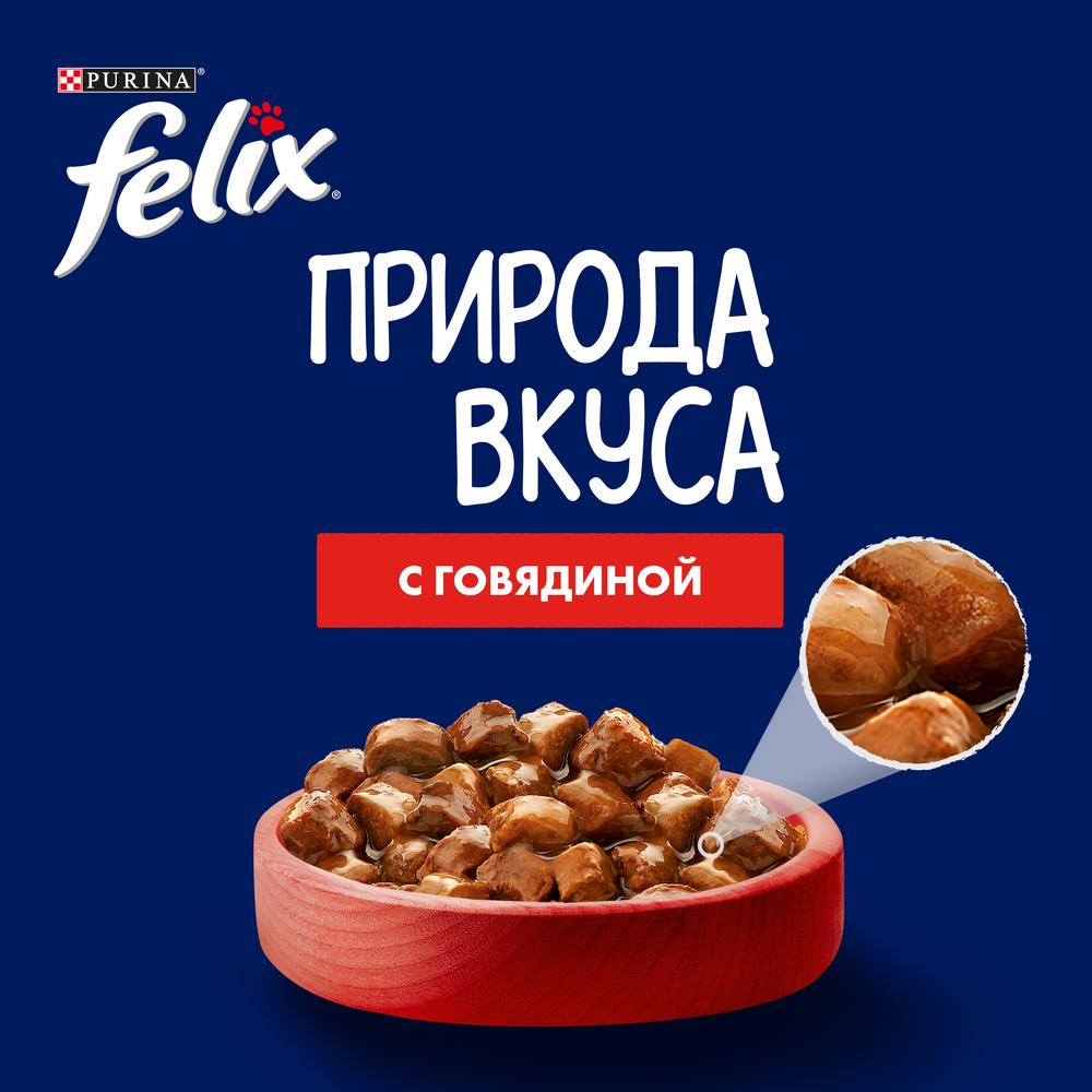 ПР0049077 Корм для кошек Природа вкуса с говядиной в соусе, пауч 85 г FELIX  - Вид №4