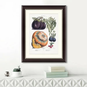 Литография на тонированной бумаге 60х47 см Vilmorin Andrieux & Cie, 1871г. КАРТИНЫ В КВАРТИРУ  093823 Бежевый;белый;коричневый;разноцветный