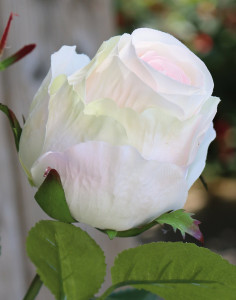 2628 705 a3 Шелковая роза, 1 цветок, 1 бутон, 80 см, бело-розовая H-andreas