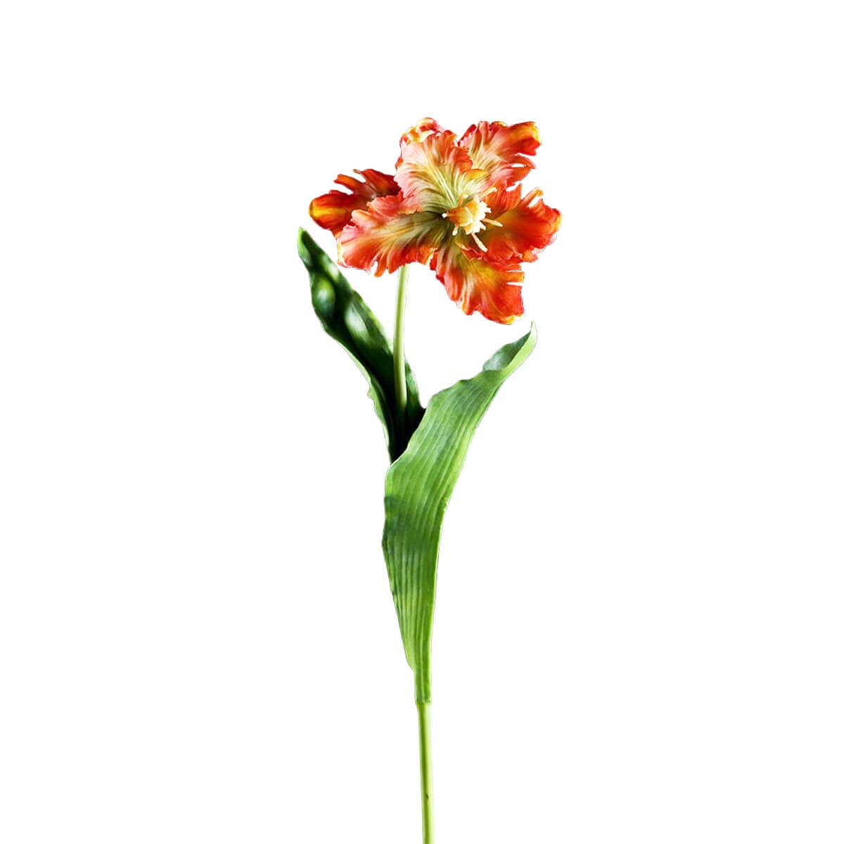 210133-26 ABHIKA ТЮЛЬПАНСКИЙ КОЛОКОЛЬЧИК YELLOW/ORANGE 