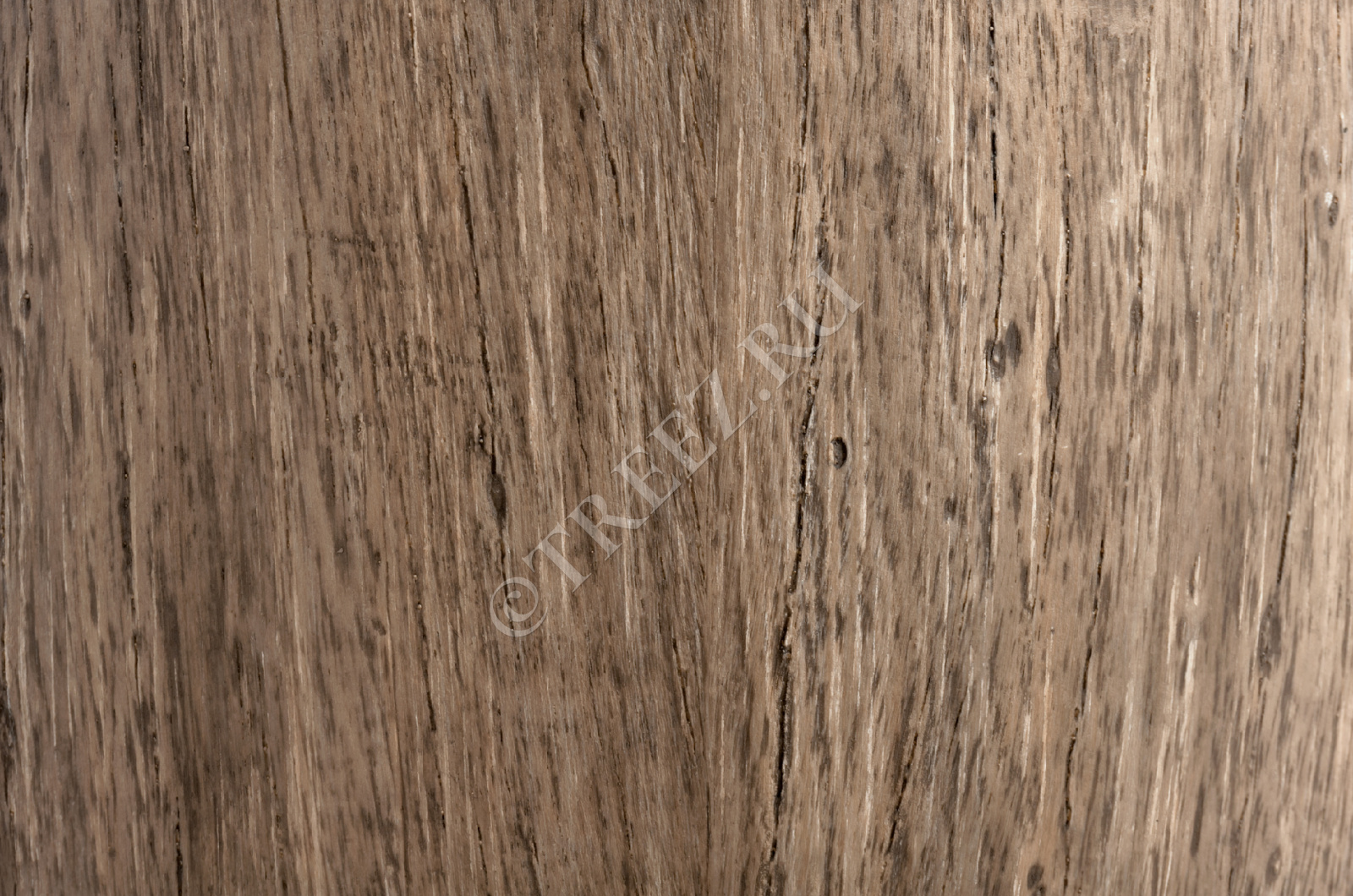 41.3317-03-012-WB-22 Кашпо  Effectory - серия Wood - Округлый конус - Светлый дуб Цветочная коллекция  - Вид №1