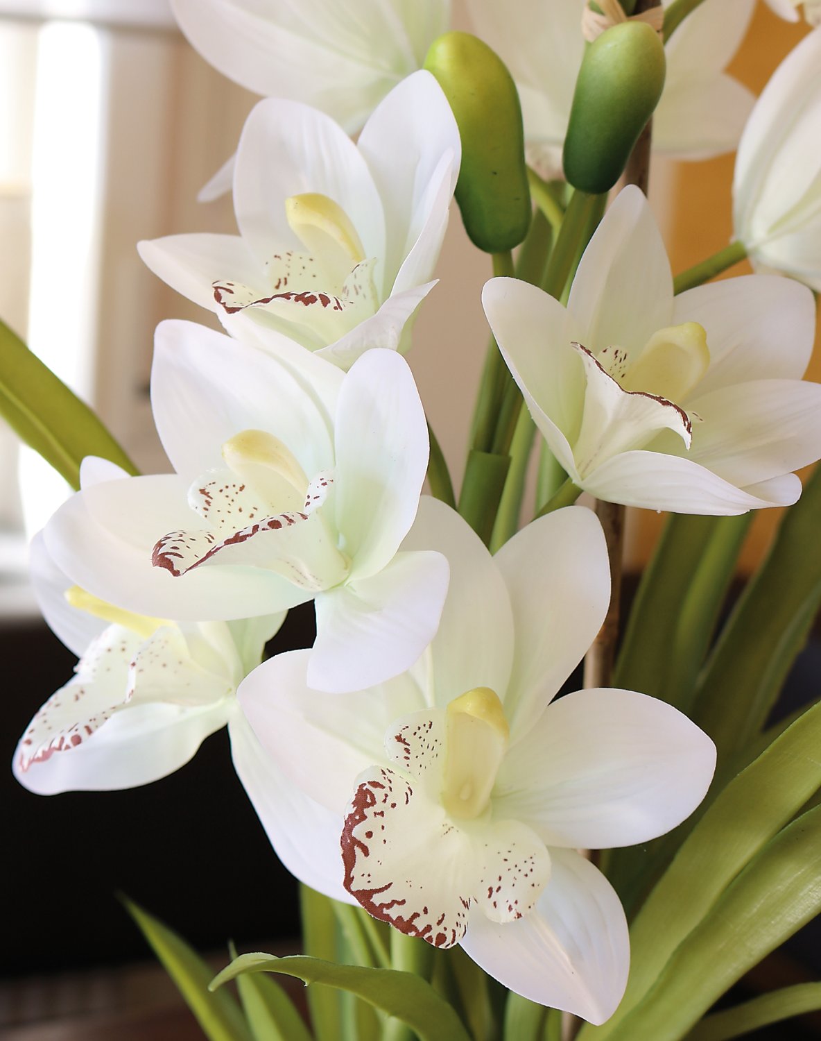 2532 778 a3 Пластиковая орхидея цимбидиум, горшок, 71 см, горшок, real touch soft, бежево-белый H-andreas 