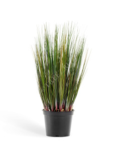 20.1040X Трава Осока куст без султанов Цветочная коллекция