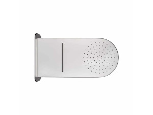 Душевая головка из нержавеющей стали с 2 струями