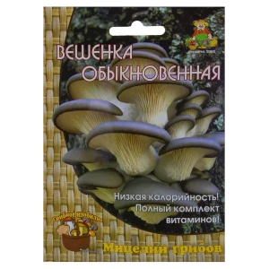 17229696 Мицелий грибов вешенка Обыкновенная на древесном носителе STLM-1541072