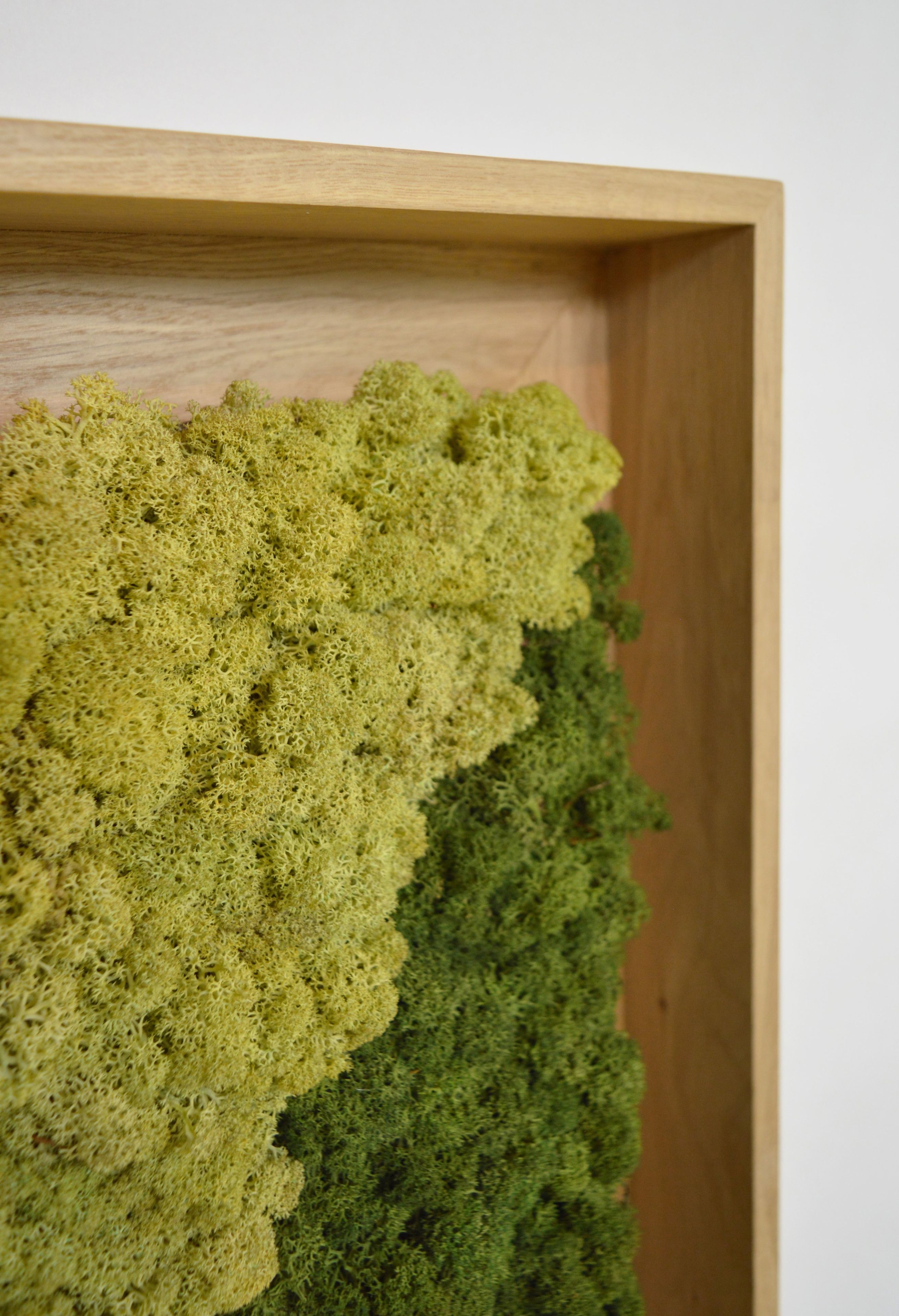 Акустическая панель из мха GREENMOOD FRAMED SYNERGY ARCH-00061647 - Вид №23