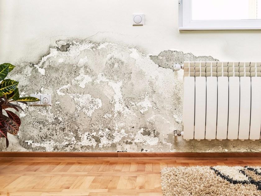 MaxMeyer Idropitture sun-id-1345215 - Вид №1