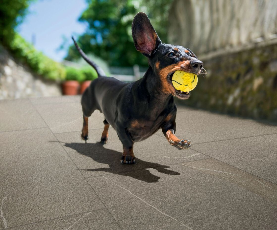 Напольная плитка из керамогранита Imola TRAIL ARCH-00020253 - Вид №10