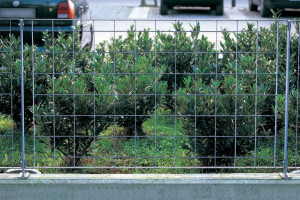 Сварные сетки забор