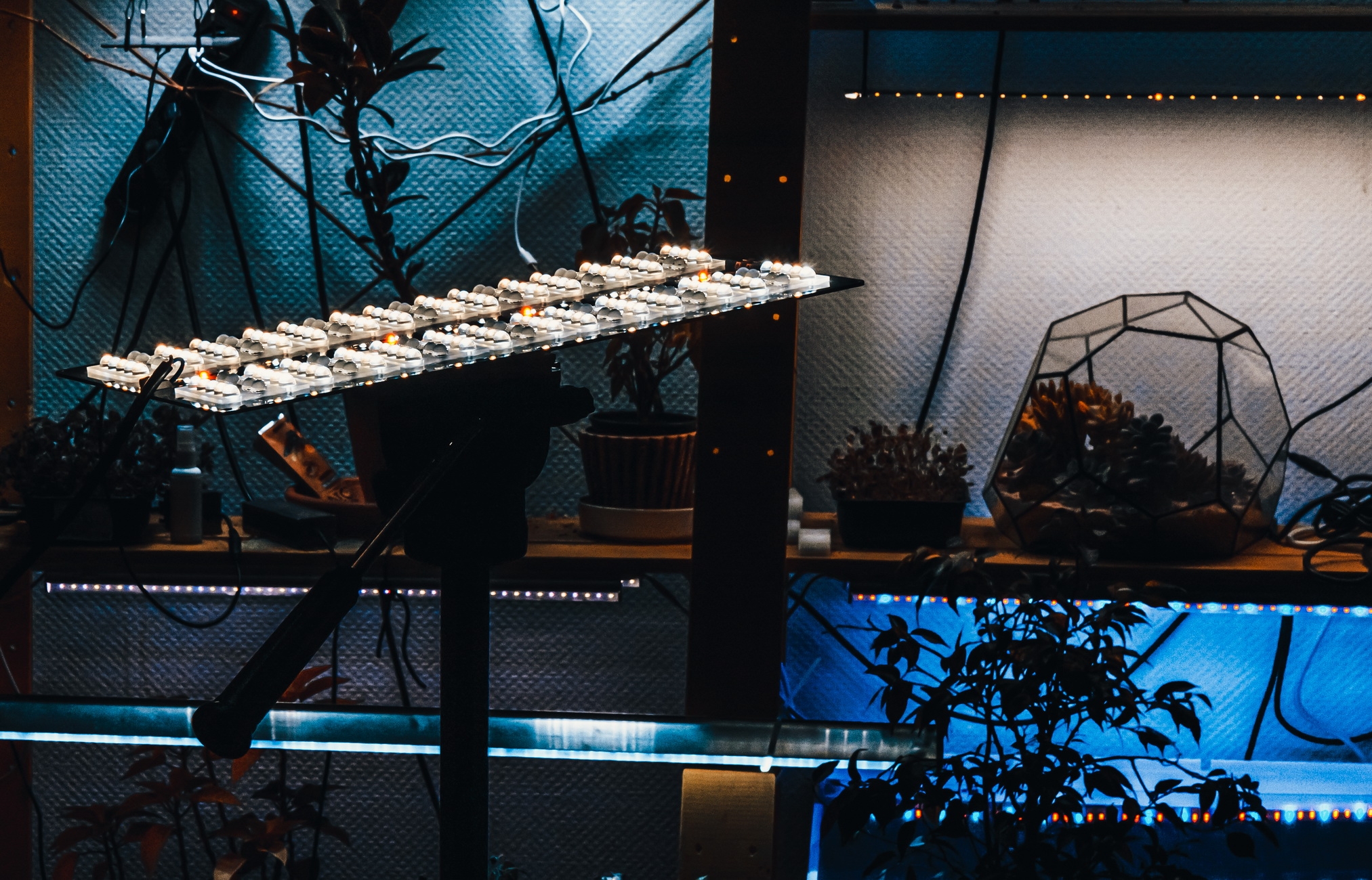 1736 Линза для Quantum board 30 градусов LAB.Space  - Вид №54