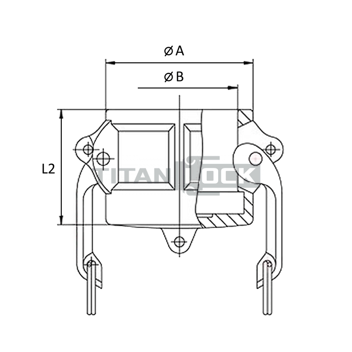 Камлок полипропиленовый тип DC, заглушка для ниппеля 1 1/4", TL125DCPP TITAN LOCK  - Вид №1