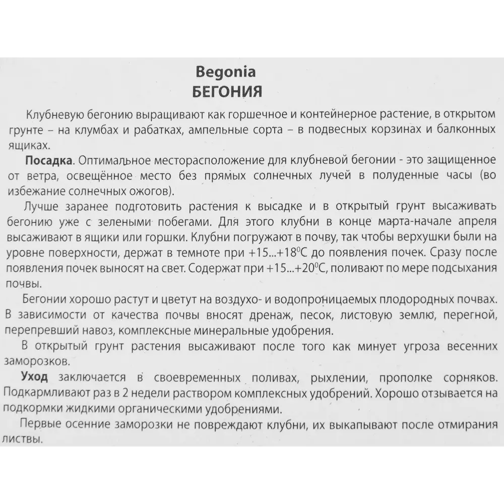 Бегония ампельная Пинк 86409970 STLM-2036761 ПОИСК  - Вид №2