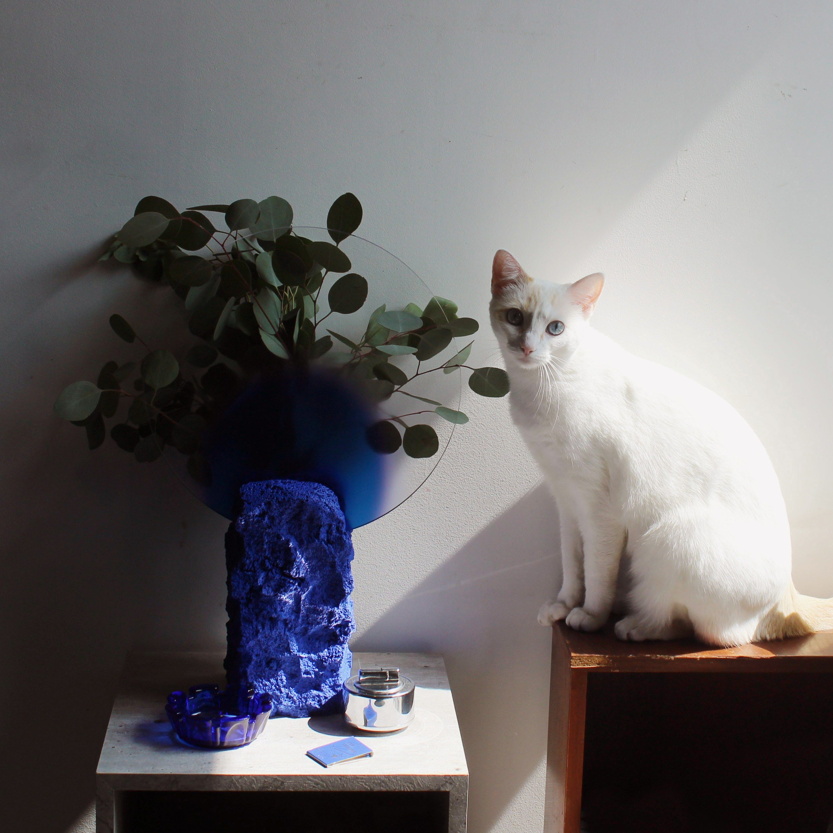 ВАЗа ручной работы из вулканической породы Movimento Gallery Montserrat Piña Benetts ARCH-00040128 - Вид №12