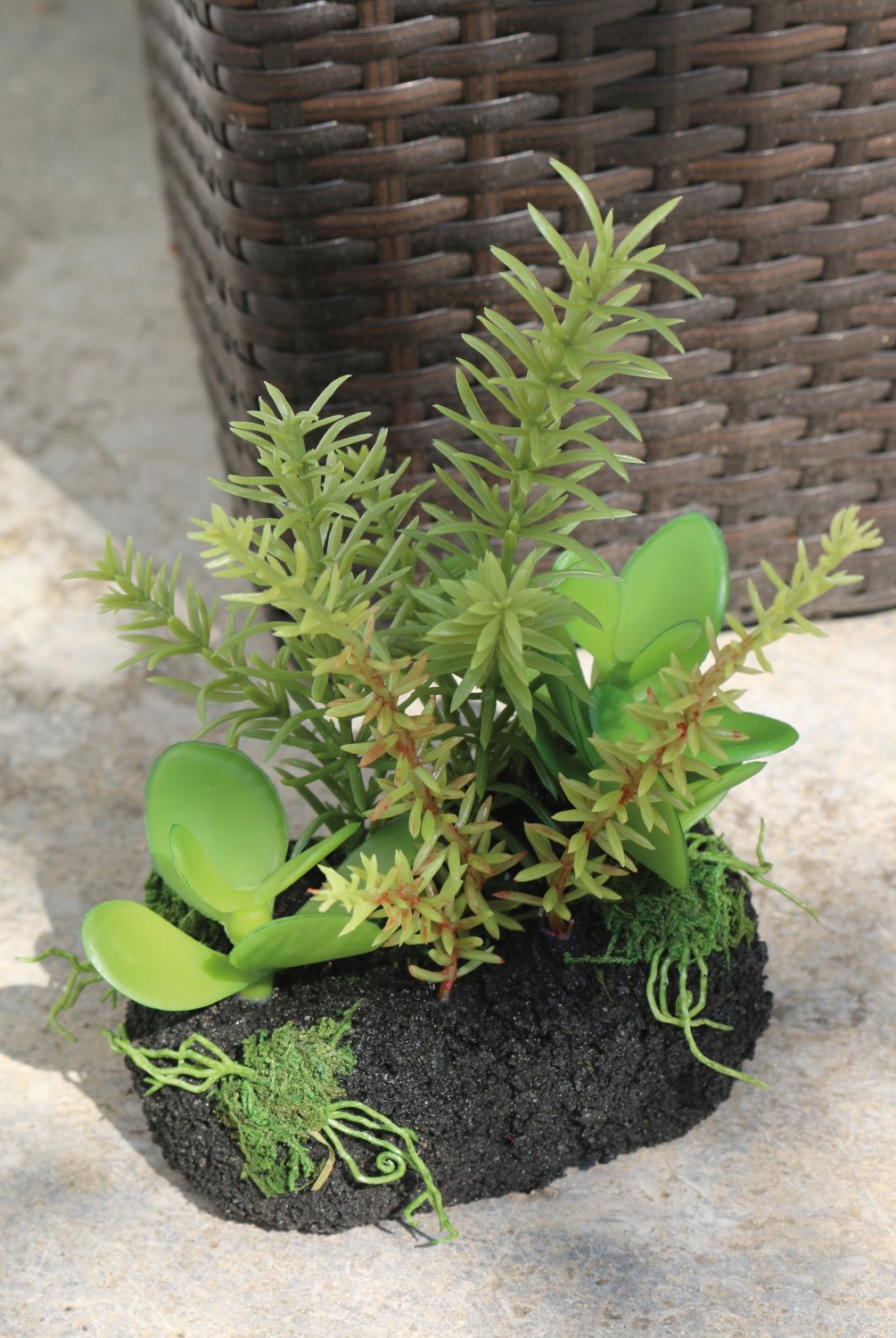 6057 883 a3 Искусственные суккуленты-микс на 'почве', 16 см, зелёный H-andreas 