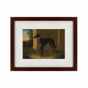 Картина: Portrait of a Greyhound called Pompon, 1746 КАРТИНЫ В КВАРТИРУ  135547 Разноцветный