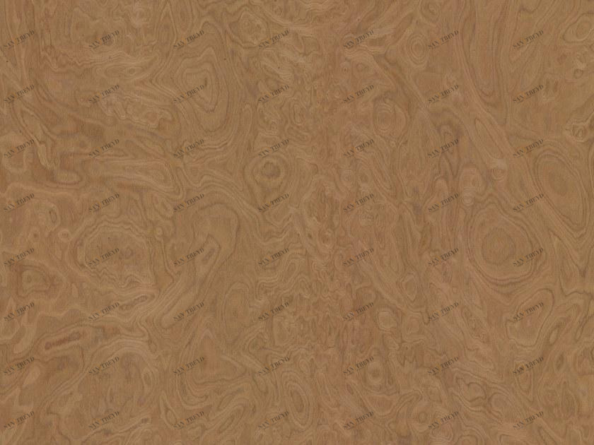 ALPI Покрытие древесины Alpilignum 10.07