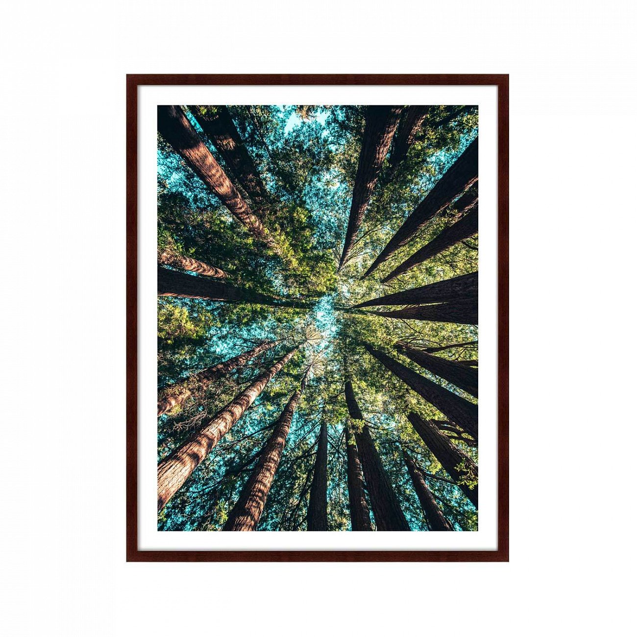 Фотокартина в деревянной раме 130х102 см Deep forest КАРТИНЫ В КВАРТИРУ  264885 Зеленый;коричневый;черный;разноцветный  - Вид №1