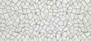 Marvel Palladiana Carrara 50X110